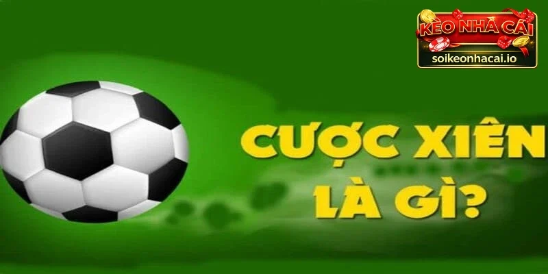 Tìm hiểu chi tiết cược xiên